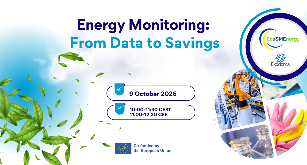 Online webinar “Energy Monitoring: From Data to Savings”